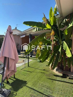 Jardin - Maison avec Piscine et Jardin à Albi