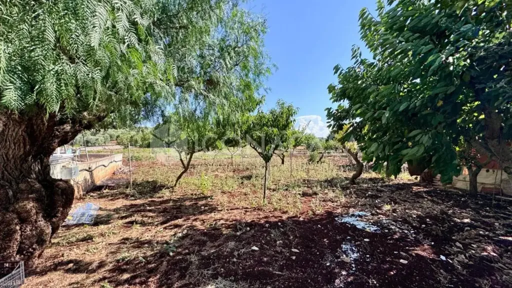 Aed - Villa with Trullo in Ostuni
