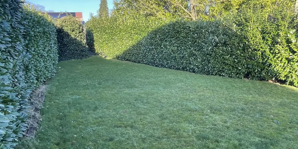 Jardin - Appartement avec Jardin et Terrasse à Retie