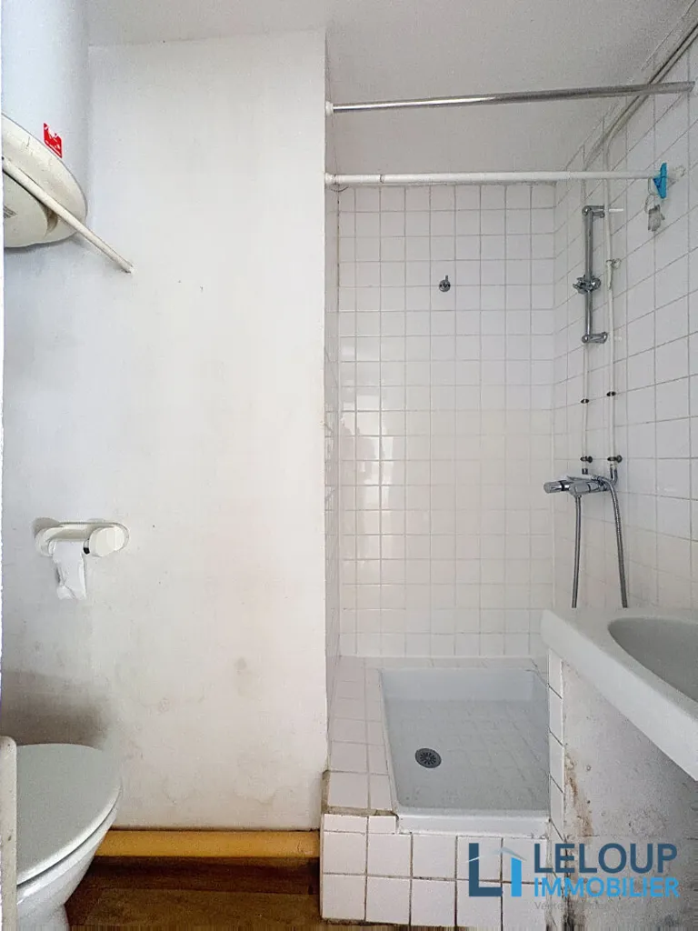 Vannitoad - Studio for Renovation near Rouen Cathedral