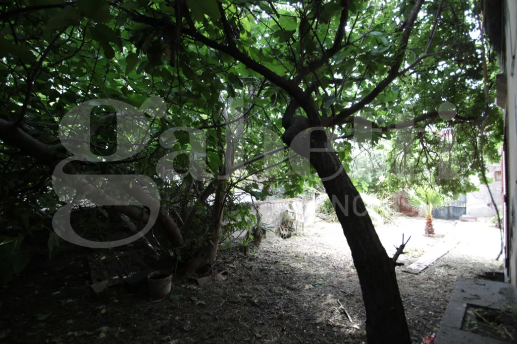 Aed - Villa to Renovate with Garden in Mascalucia