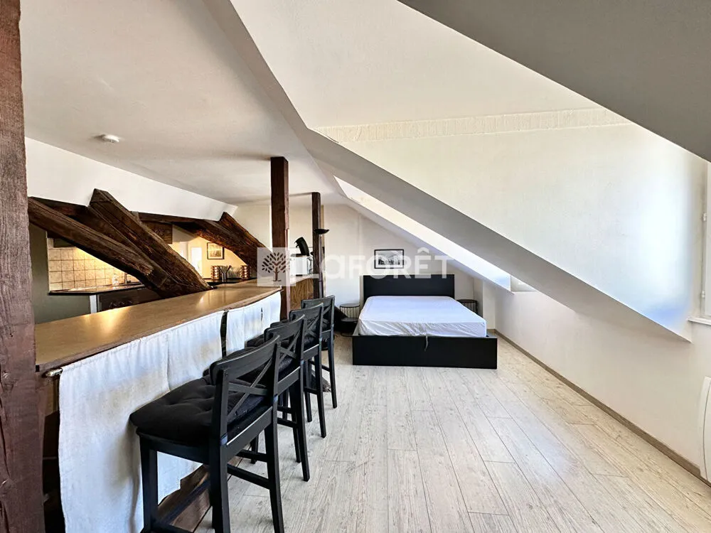 Toad - Charming Studio in Strasbourg's Hyper Centre