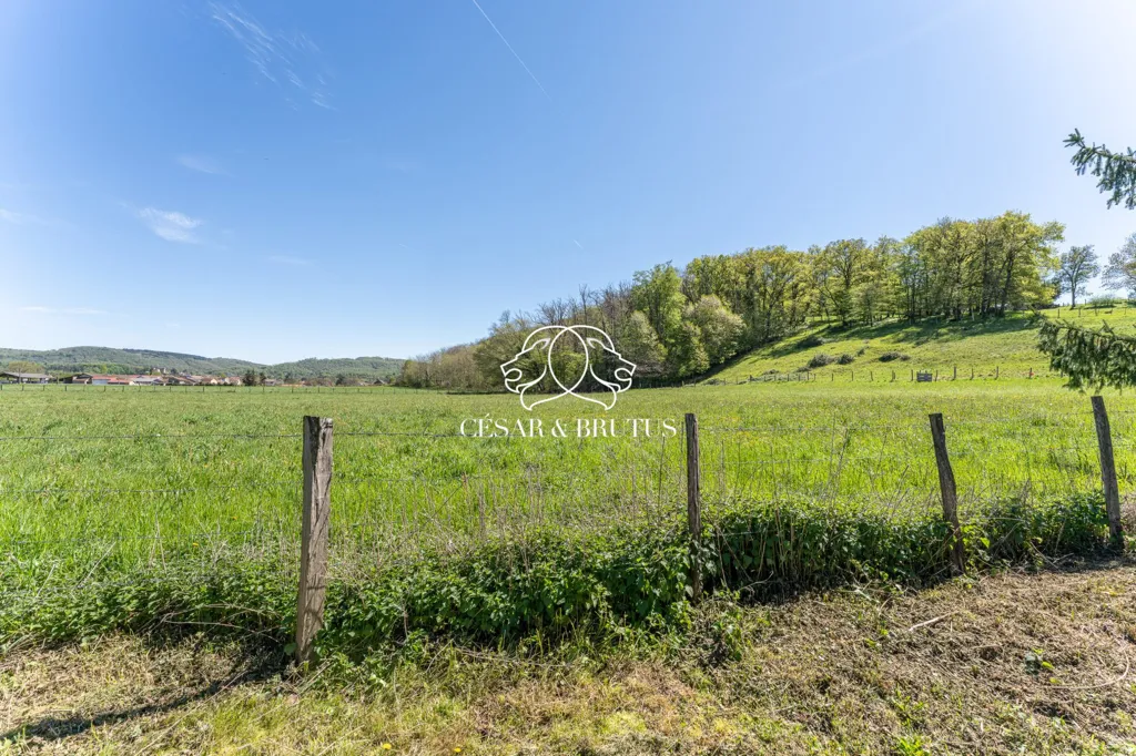Aed - Renovated Stone House with Pool in Chozeau
