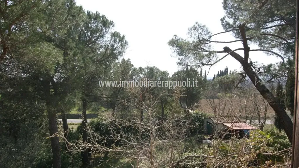 Garden - Rustic House with Vineyard in Sinalunga