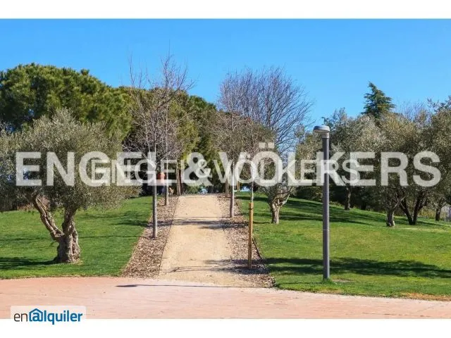 Jardin - Apartment with Terrace in Barajas