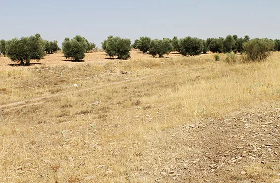 Jardin - Land Plot in Almadén, Ciudad Real