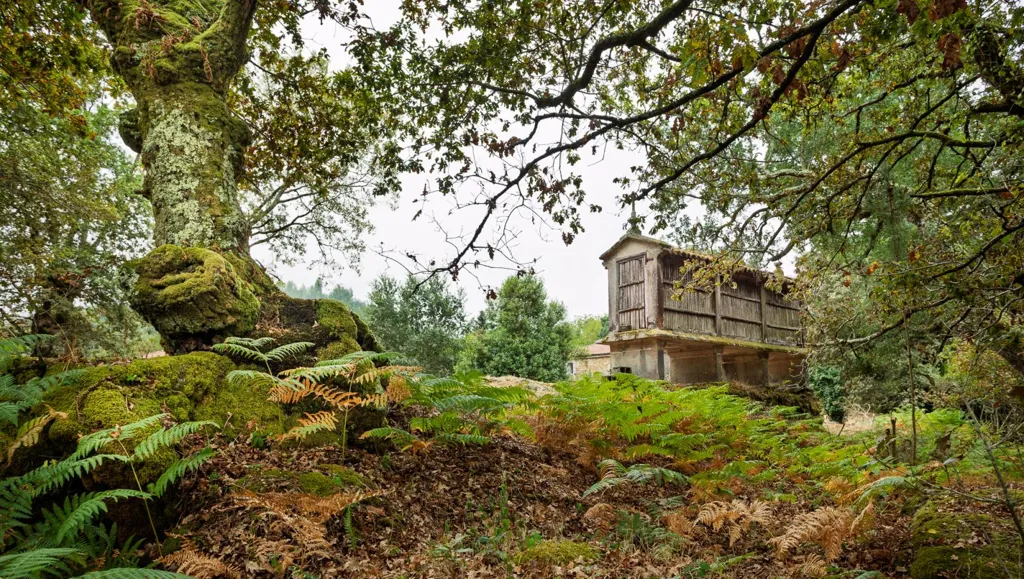 Esterno - Restoration Opportunity with Forest in Silleda