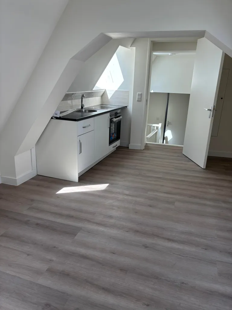 Pièces - Charming 1900s Apartment in Leeuwarden