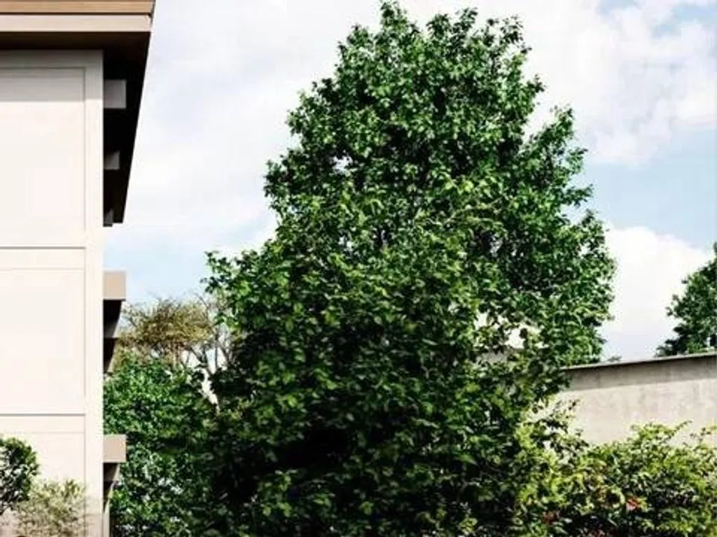 Extérieur - Class A+ Villa with Garden in Florence