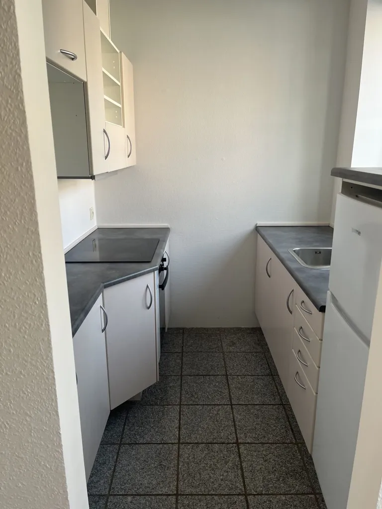 Kitchen - 2-Bedroom Flat with Free Parking in Hobrovej
