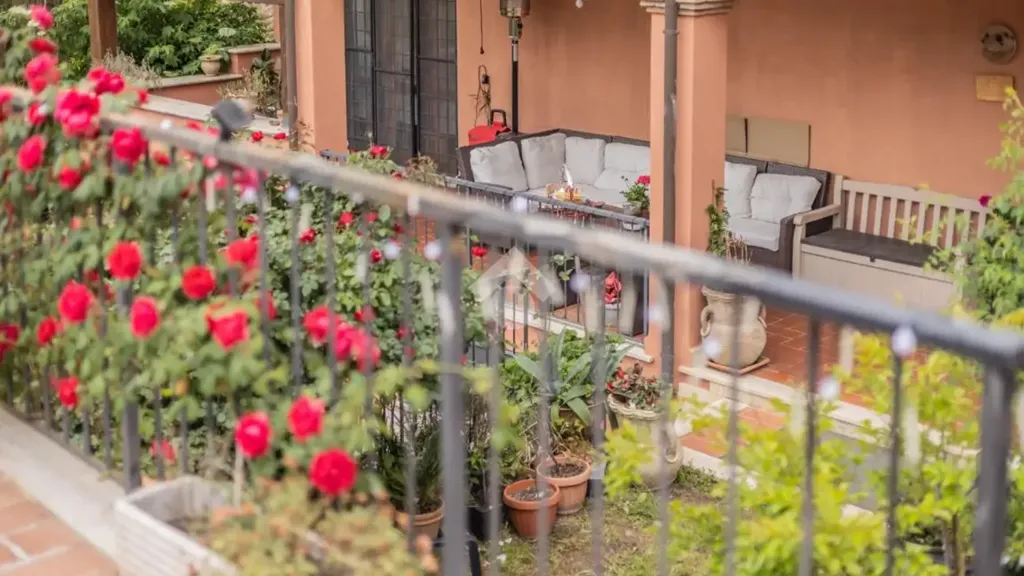 terrace_patio