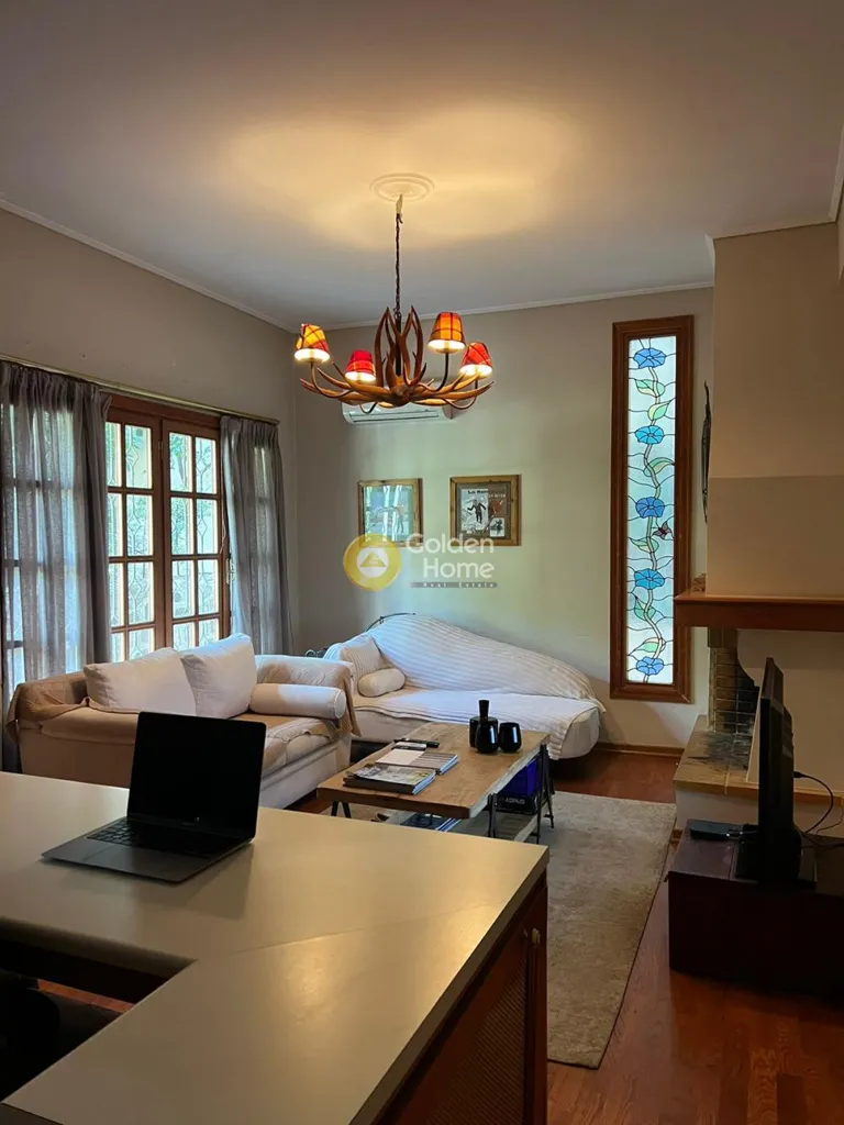 Séjour - Luxury Villa with Garden in Nea Penteli