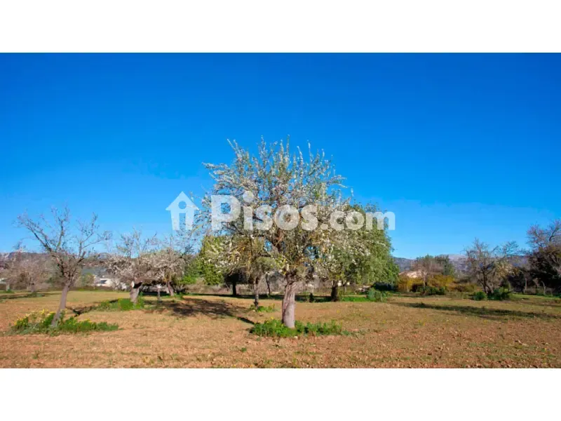 Aed - Rustic Finca with Serra de Tramuntana View in Selva