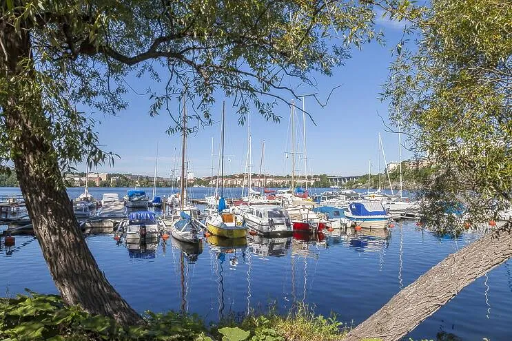 Spacious Two-Bedroom Flat with Balcony in High Location