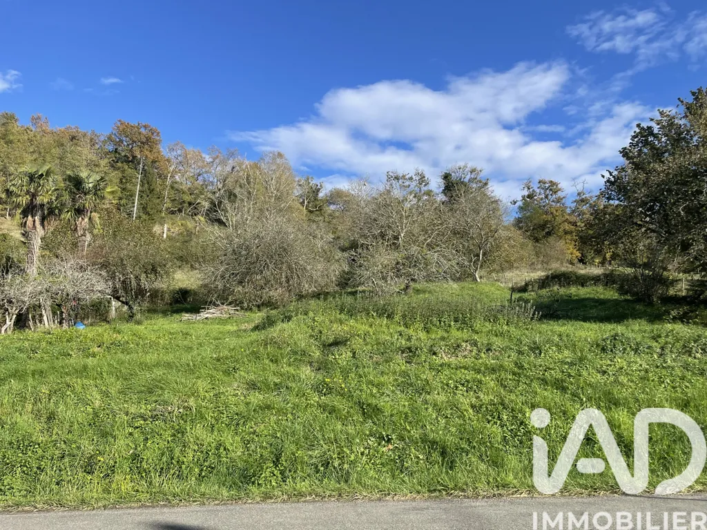 Jardin - Terrain Constructible à Monein avec Déclaration Préalable