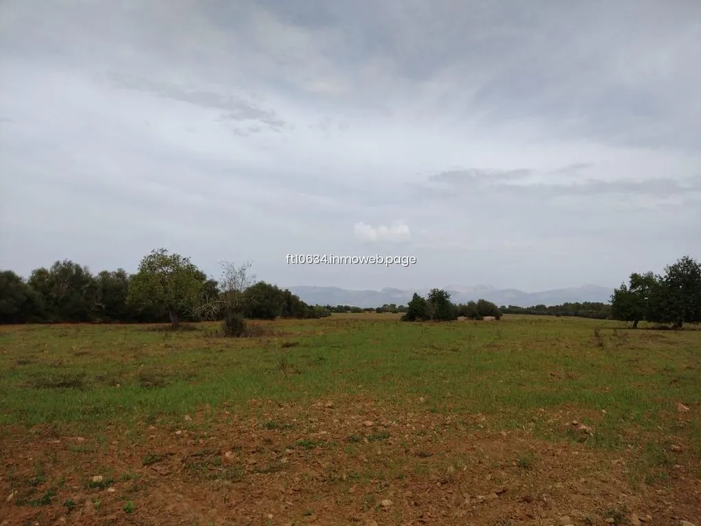 Aed - Luxury Farmhouse with Stone Walls in Algaida
