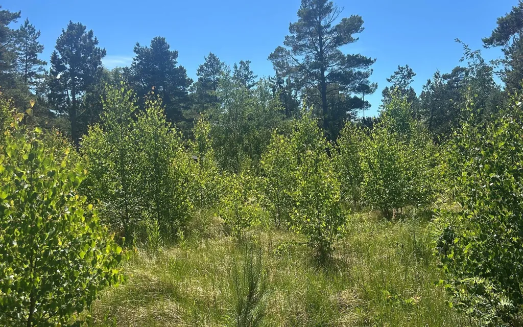 Aed - Vacation Plot with 5G Coverage in Læsø