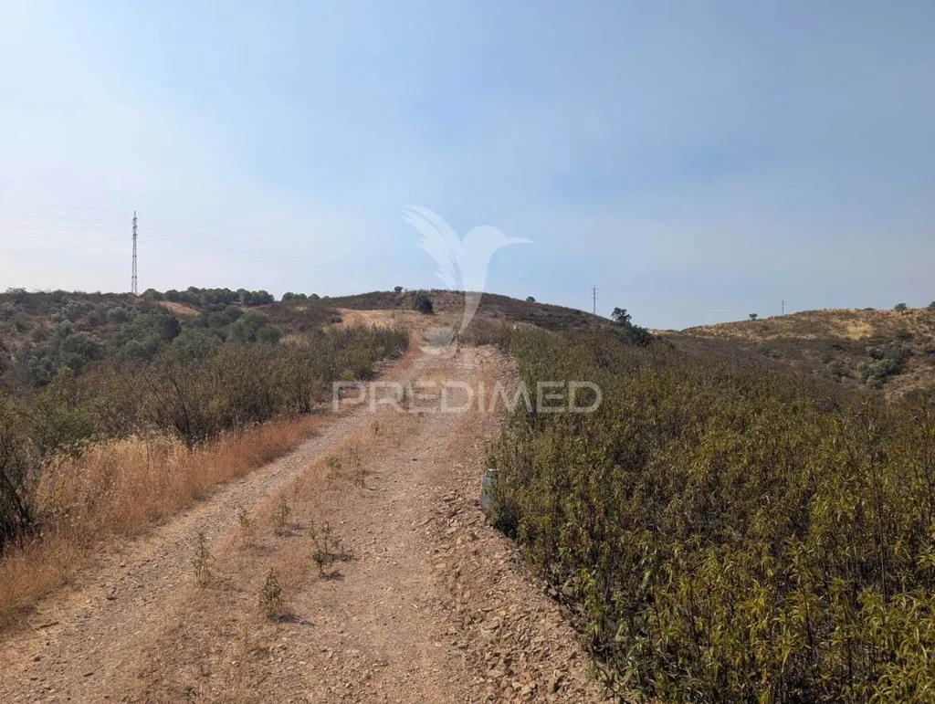 Jardin - Rustic Land with Waterfront on Beliche Dam, Algarve