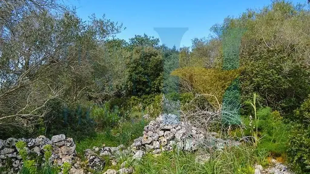 Aed - Historic Property with Panoramic View in Noto