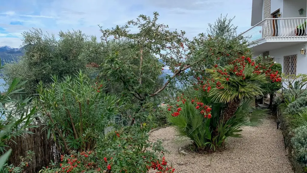 Giardino - Villa with Panoramic Lake View in Brenzone