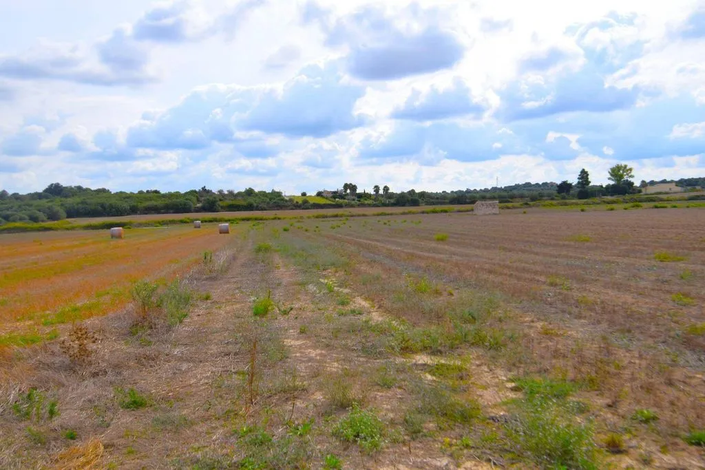 Aed - Rustic Plot with House Project in Muro