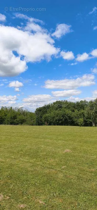 Aed - Buildable Plot near Monclar de Quercy