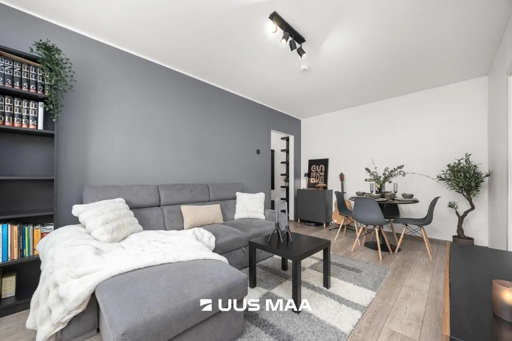 Soggiorno - Remodelled Apartment in Mustamäe, Tallinn