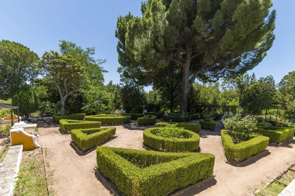 Aed - Farm with Antique Style Accommodations in Elvas