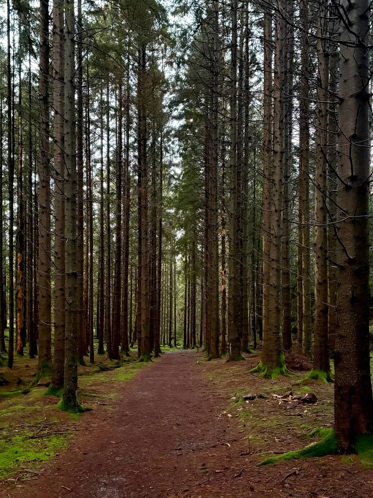 4-toaline maja asukohas Orust kommun