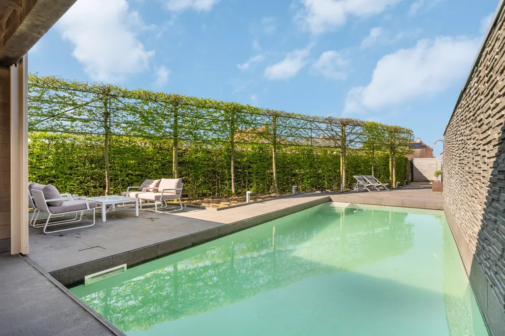 Pool - Modern Villa with Wellness Area in Dessel