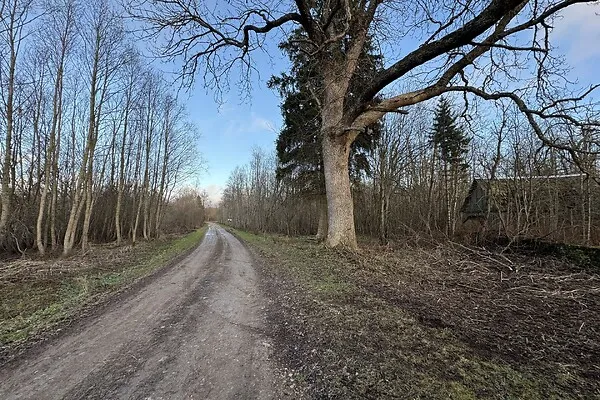 Jardin - Terrain à Haljala vald