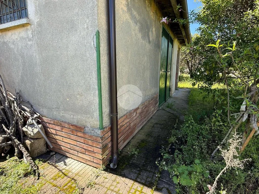 Jardin - Rustic House with Large Garden in Corigliano-Rossano