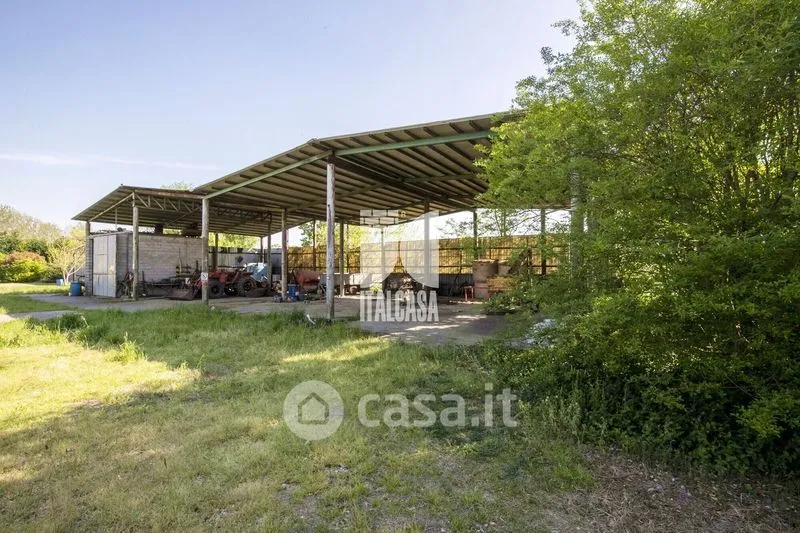 Jardin - Rustic Farmhouse with Garden in Roverbella