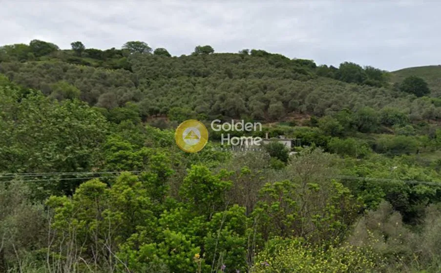 Aed - Buildable Plot with Olive Trees in Floria, Selino