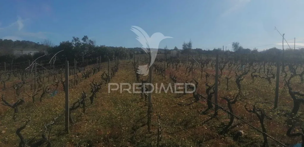 Garden - Industrial Land with Direct Access in Portalegre