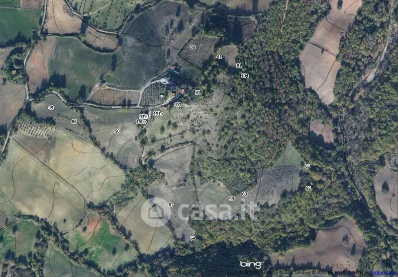 Õhuvaade - Rural Podere with 24 Hectares in Scansano