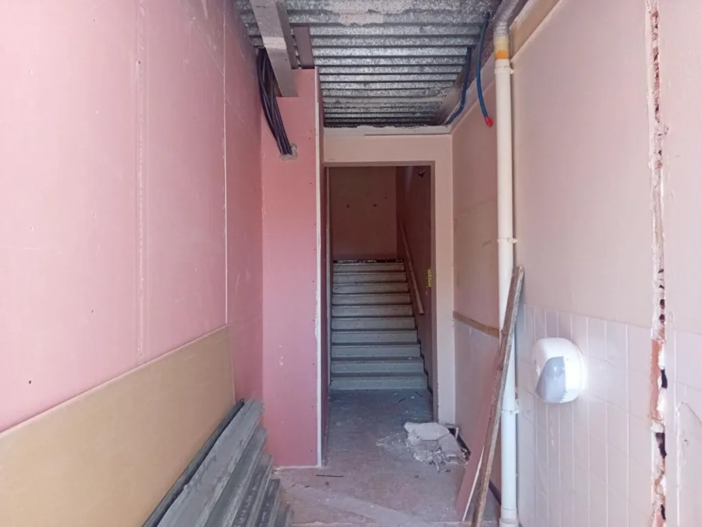 Toad - Renovation Project Apartment in Verzy