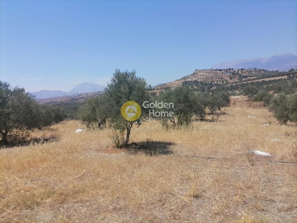 Garden - Buildable Plot with Olive Trees in Phaistos