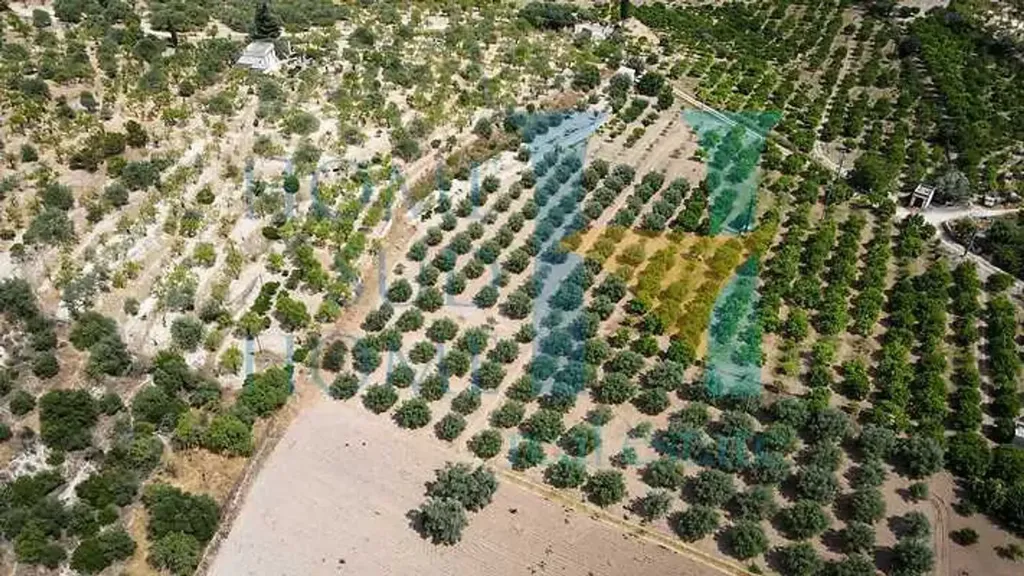 Aerial - Land in IT