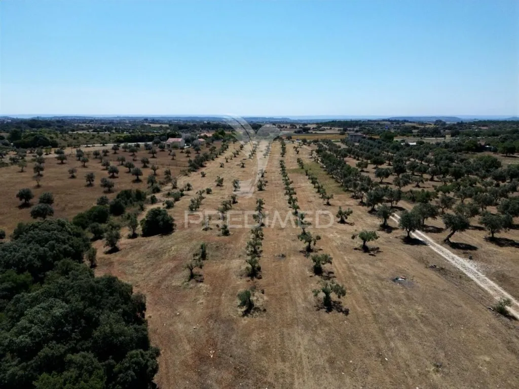Vue aérienne - Rural Quinta with Olive Grove in Vaqueiros