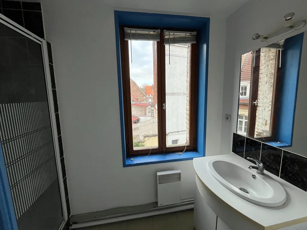 Salles de bain - Maison avec Jardin dans un Quartier Paisible à Douai