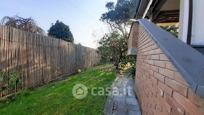 Jardin - Villa with Sea View in Cinquale, Montignoso
