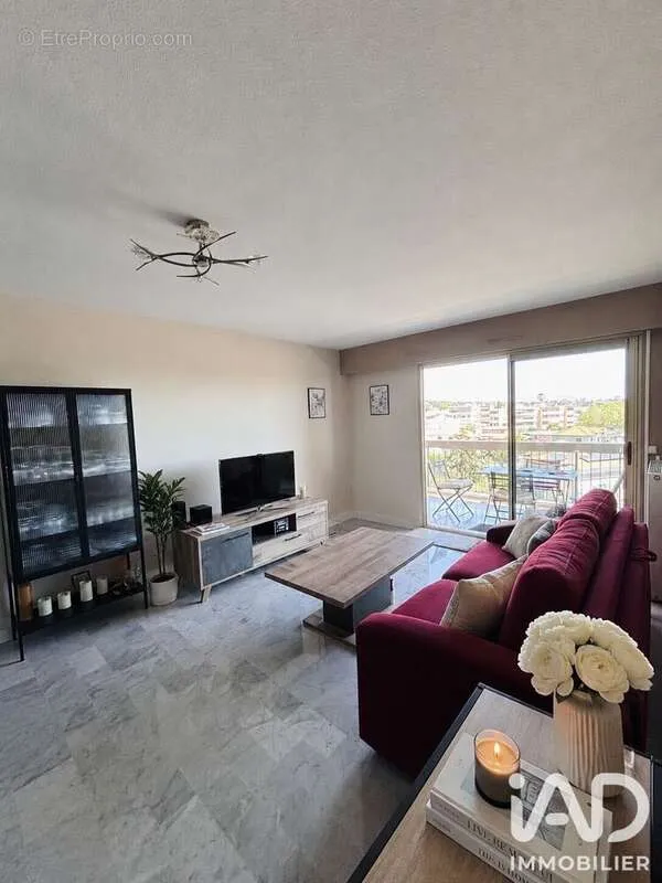 Séjour - Appartement Rénové avec Terrasse à Vallauris