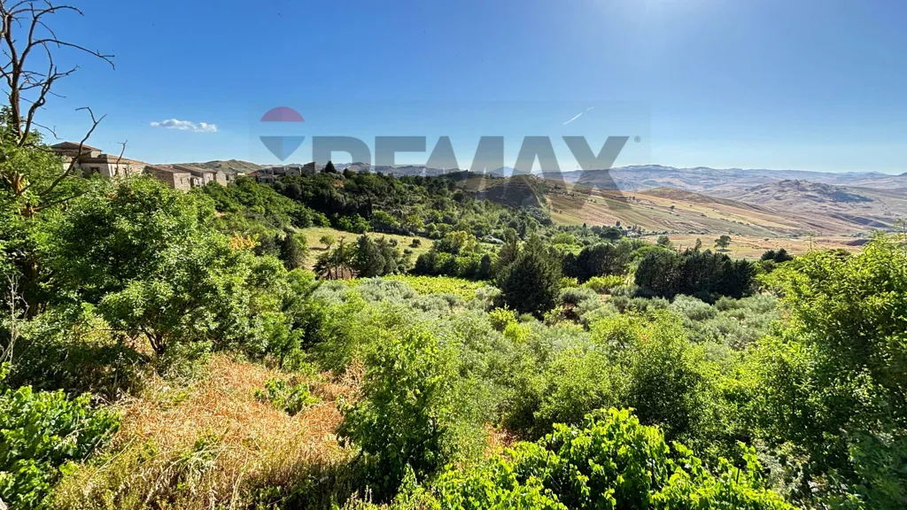 Villa with Olive Grove in Alimena