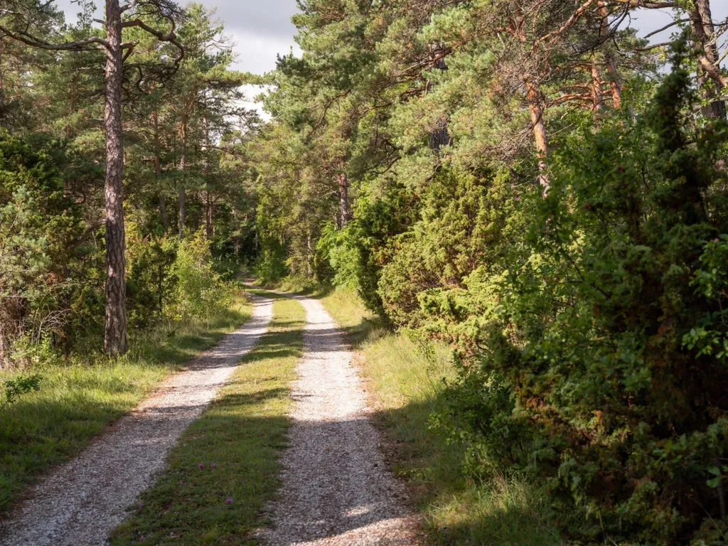 Välivaade - Large Plot with Preserved Vegetation in Anga