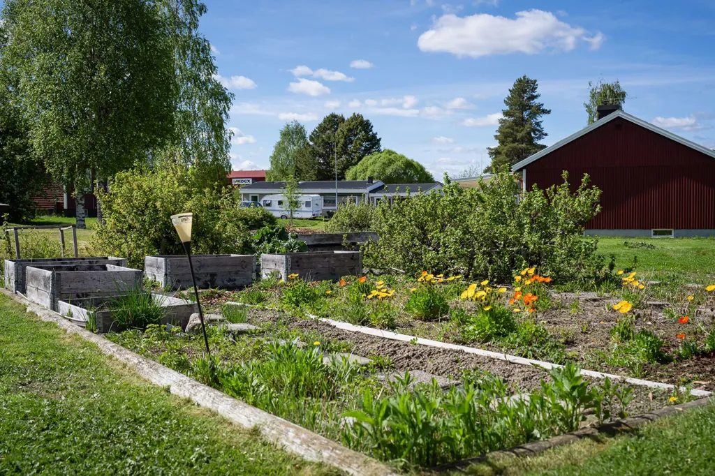 Jardin - 1-Storey House with Garden in Burträsk