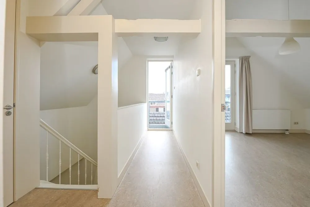 Entrée - Classic Penthouse with Balcony in Den Haag