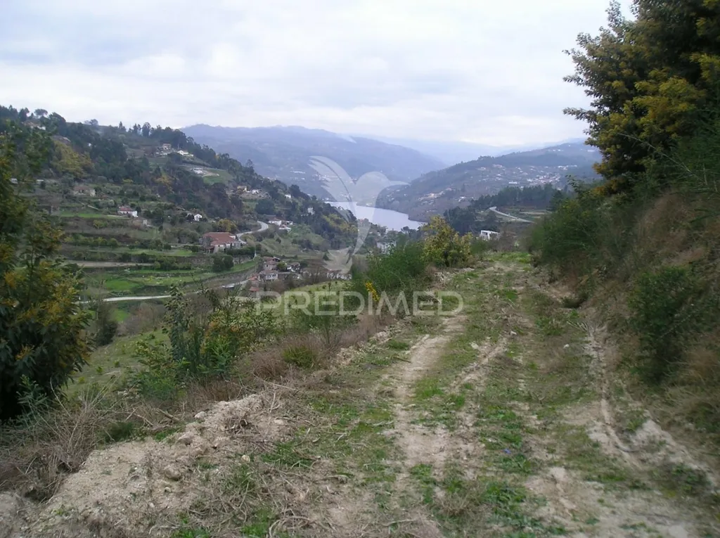 Jardin - Construction Plot with River Douro Views