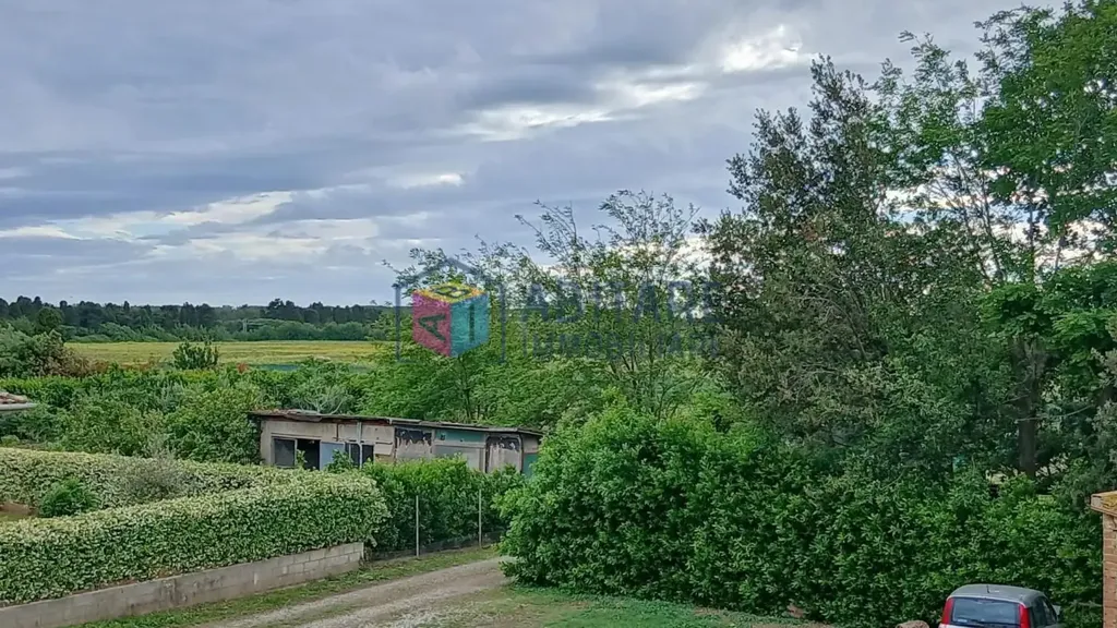 Jardin - Rear Terrace House with Sea View in Rosignano Marittimo