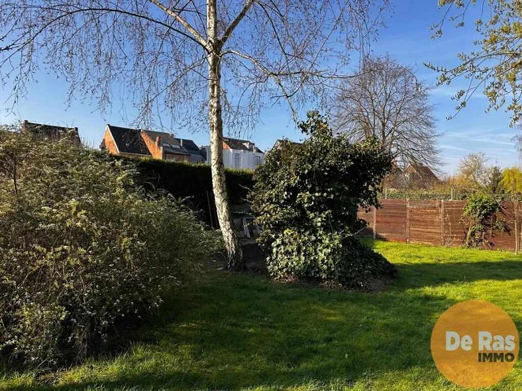 Jardin - Commerce avec Jardin et Appartement à Dendermonde